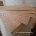 Bintangor Plywood